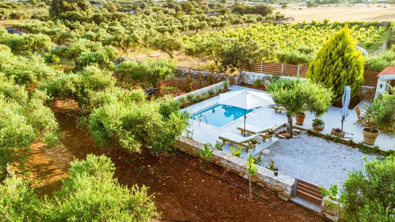 Villa Elaionas Sternai Екстер'єр фото